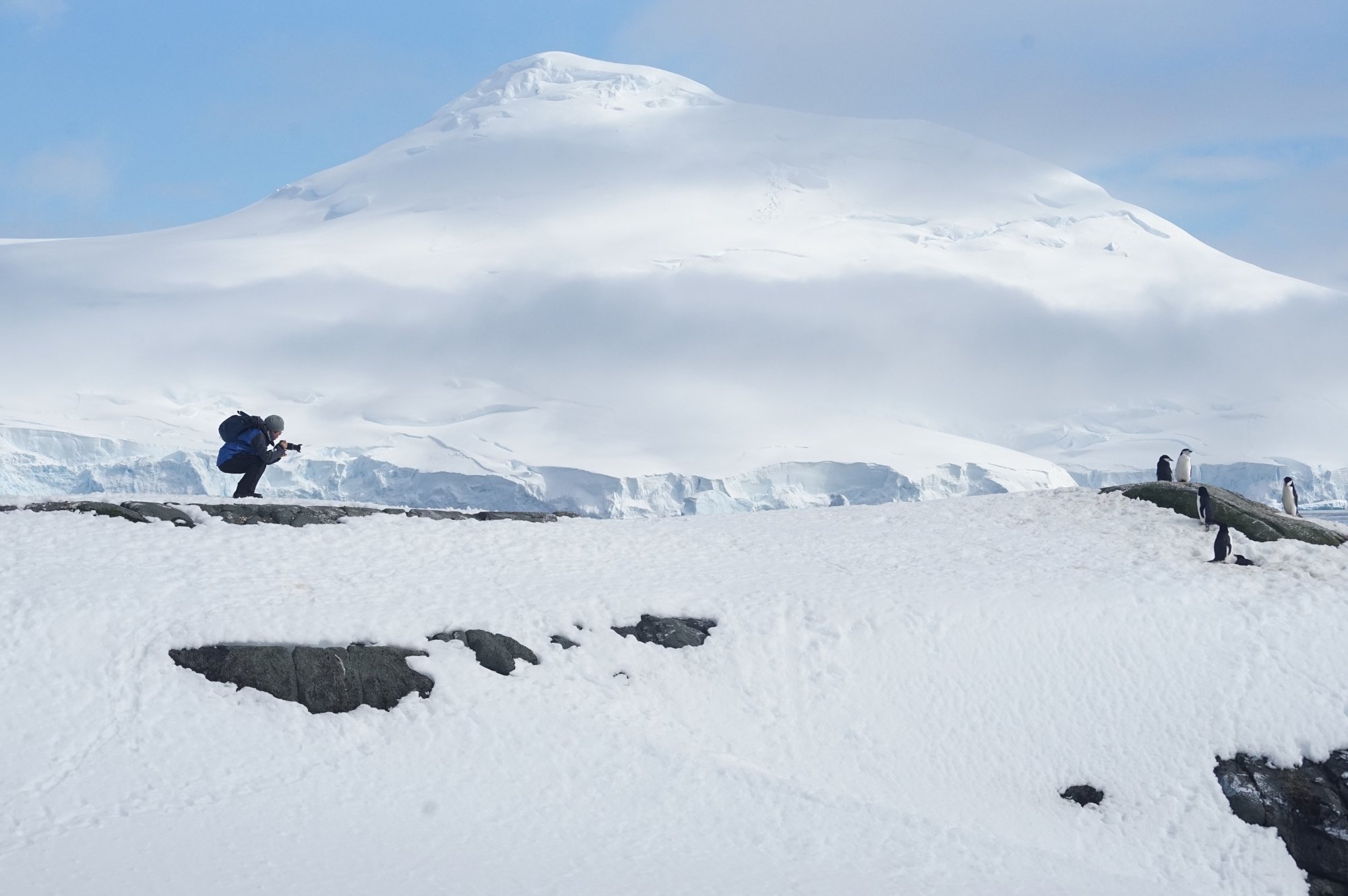 fotografie Antarctica