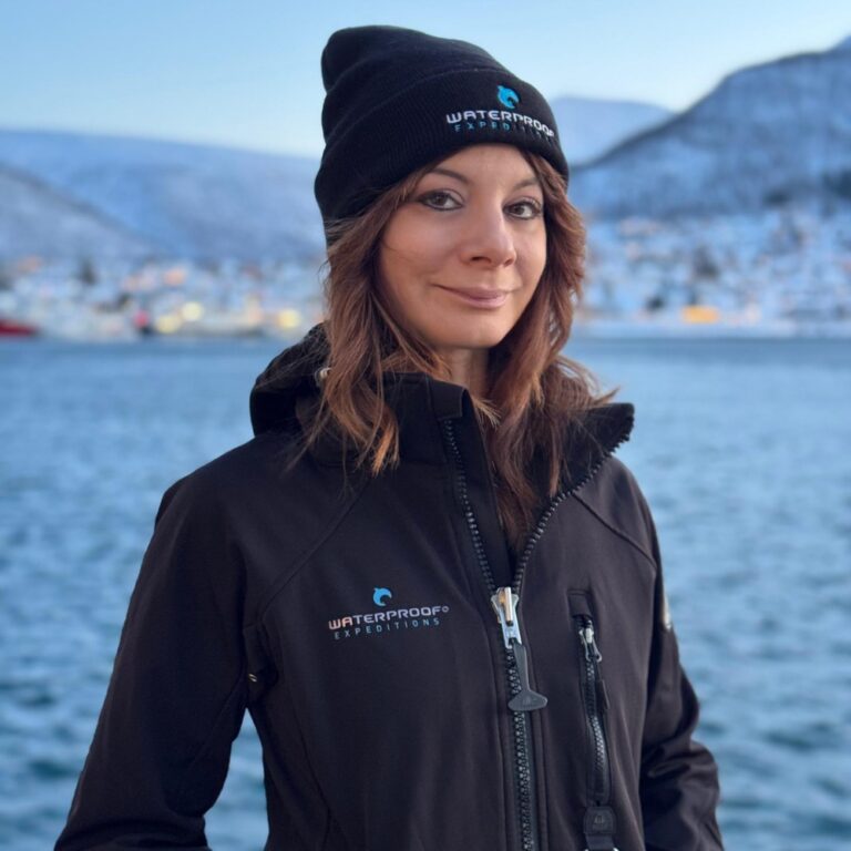 Andi Schwetz